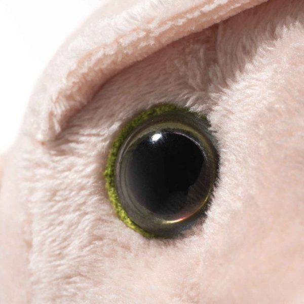 462d8f6e-aa55-4a1c-9837-d574482476ac_720x-2 462d8f6e-aa55-4a1c-9837-d574482476ac_720x-2