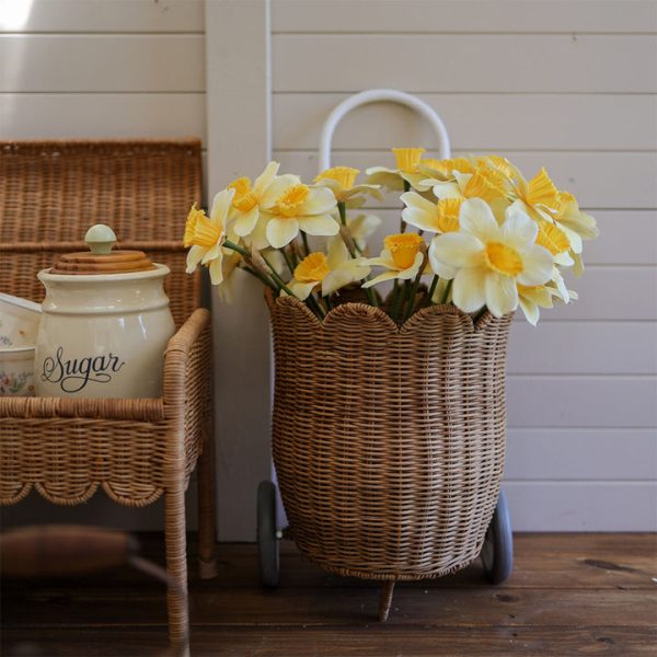 603bfe2c-3a3b-4dba-9a27-336bb05ac5d6_720x-1 603bfe2c-3a3b-4dba-9a27-336bb05ac5d6_720x-1