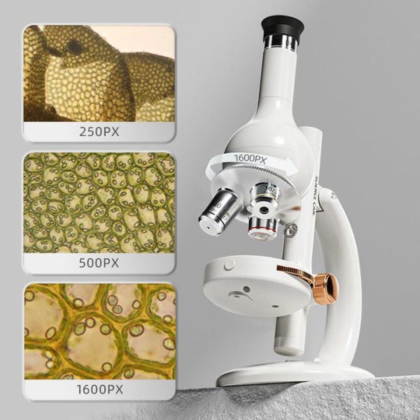 a89c8a54-7c17-4450-8b5f-a68d3fe48a79_720x-1 a89c8a54-7c17-4450-8b5f-a68d3fe48a79_720x-1