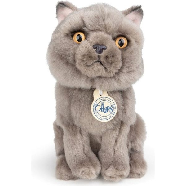 bon-ton-toys-plush-bt-chaps-freddy-the-british-shorthair-cat-plush-in-giftbox-6-5-32019840041047_720x-1 bon-ton-toys-plush-bt-chaps-freddy-the-british-shorthair-cat-plush-in-giftbox-6-5-32019840041047_720x-1