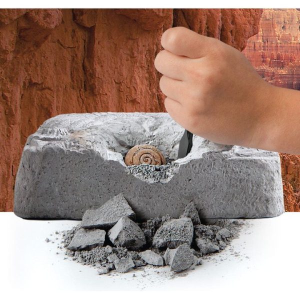 discovery-mindblown-stem-colossal-fossil-dig-set-32434812682327_720x-2 discovery-mindblown-stem-colossal-fossil-dig-set-32434812682327_720x-2