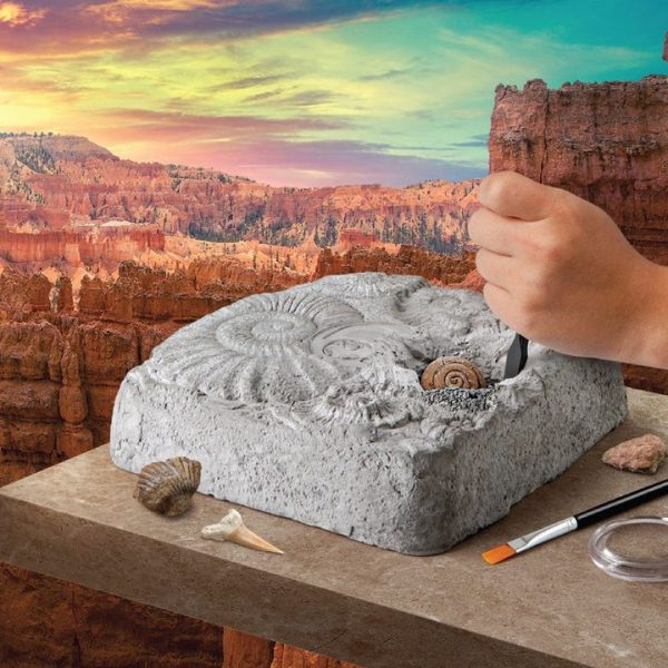 discovery-mindblown-stem-colossal-fossil-dig-set-32434812747863_720x-2 discovery-mindblown-stem-colossal-fossil-dig-set-32434812747863_720x-2