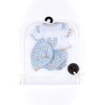 fao-schwarz-baby-doll-adoption-fao-baby-doll-adoption-outfit-blue-flowers-31241942073431_720x-5