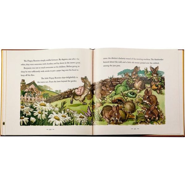 graphic-image-books-the-classic-tale-of-peter-rabbit-book-in-tan-bonded-leather-32343281991767_720x-5 graphic-image-books-the-classic-tale-of-peter-rabbit-book-in-tan-bonded-leather-32343281991767_720x-5