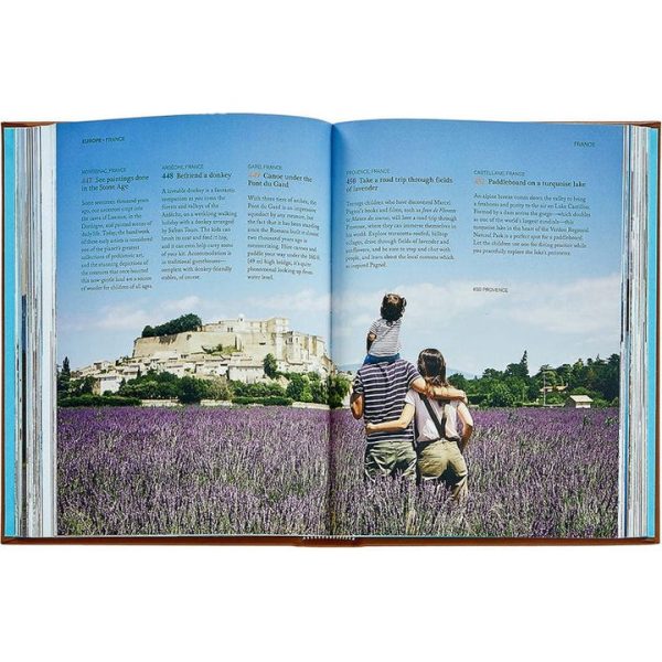 graphic-image-books-the-family-bucket-list-book-leather-edition-1152077163_720x-2 graphic-image-books-the-family-bucket-list-book-leather-edition-1152077163_720x-2