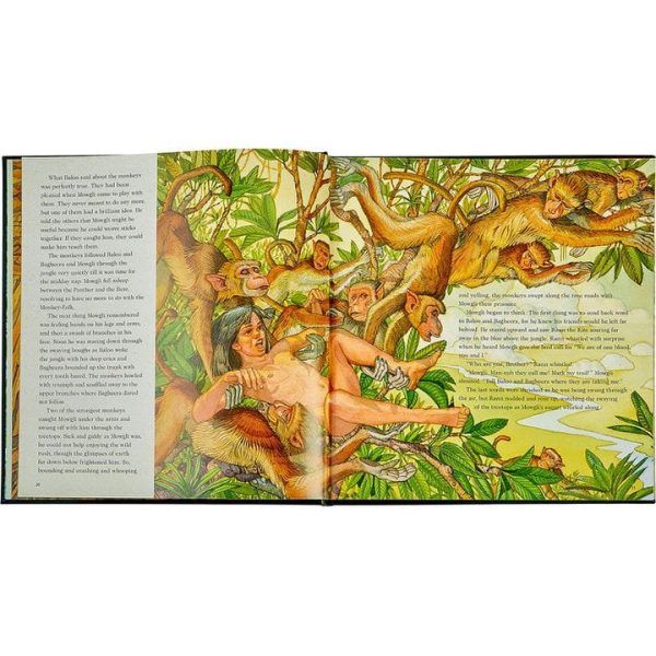 graphic-image-books-the-jungle-book-in-green-bonded-leather-32343284121687_720x-1 graphic-image-books-the-jungle-book-in-green-bonded-leather-32343284121687_720x-1