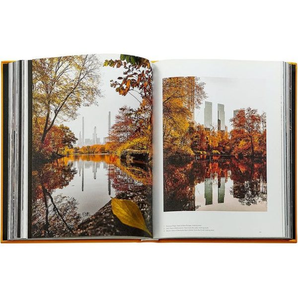 graphic-image-books-trope-new-york-book-leather-edition-1152077146_720x-6 graphic-image-books-trope-new-york-book-leather-edition-1152077146_720x-6