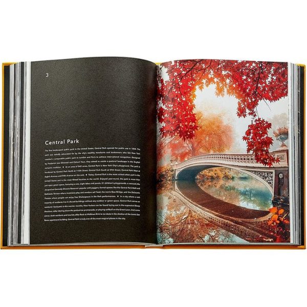 graphic-image-books-trope-new-york-book-leather-edition-1152077148_720x-2 graphic-image-books-trope-new-york-book-leather-edition-1152077148_720x-2