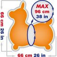 rody-preschool-gymnic-orange-rody-horse-max-inflatable-bouncer-ride-on-with-hand-pump-31540685078615_720x