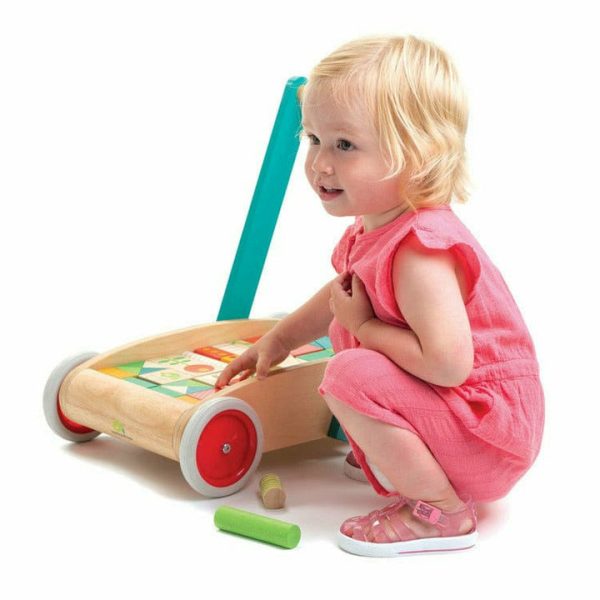 tender-leaf-preschool-baby-block-walker-29339713994839_720x tender-leaf-preschool-baby-block-walker-29339713994839_720x