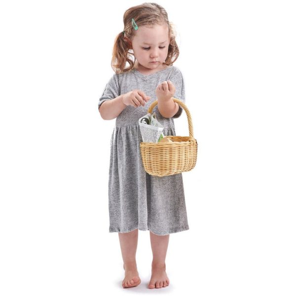 tender-leaf-toys-preschool-wicker-shopping-basket-29711571976279_720x-3 tender-leaf-toys-preschool-wicker-shopping-basket-29711571976279_720x-3